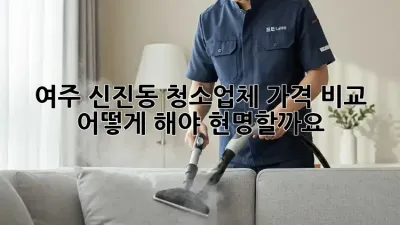 여주 신진동 청소업체 가격 비교, 어떻게 해야 현명할까요?