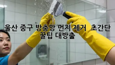 울산 중구 방충망 먼지 제거 ✨ 초간단 꿀팁 대방출!